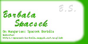 borbala spacsek business card